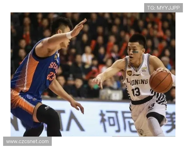 2015年CBA湖南篮球队完整名单及赛季回顾