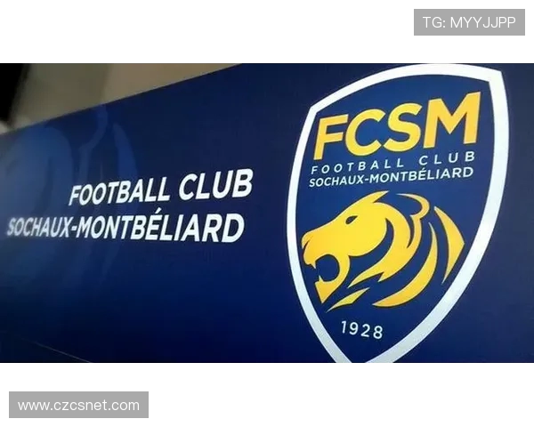 法甲外援市场分析报告：国家分布、表现排名与投资风险