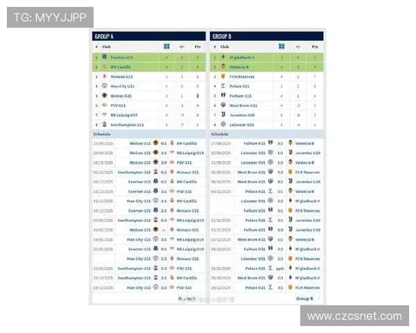 英超狼队最新球员名单及战术核心介绍